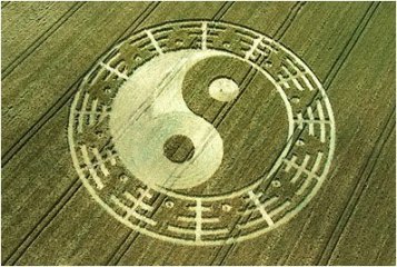yinyang crop