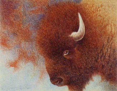 Red_Buffalo_by_Cloverfish