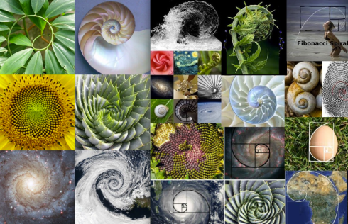 collage-spirals
