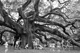 Angels_TreeSpiritProject_700p_WEB